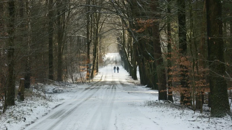 Historyczne szlaki turystyczne w Polsce: gotowe trasy na weekend i dłużej